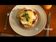 Plate of Eggs Benedicts 1 984